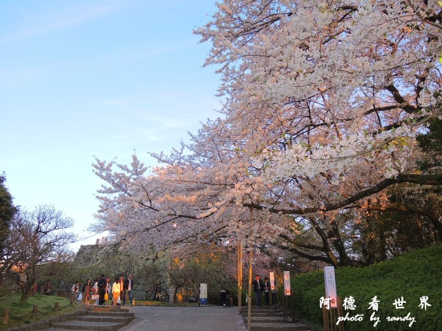 呼子-唐津-福岡P77 287.JPG