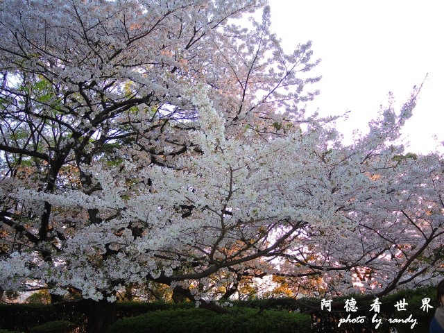 呼子-唐津-福岡P77 293.JPG