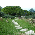 熊空茶園-三耕居FZ 109.JPG