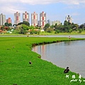 curitiba2P77 211.JPG