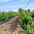 mendoza1P77 332.JPG