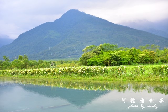 大農大富D810 057.JPG 大農大富D810 057.JPG