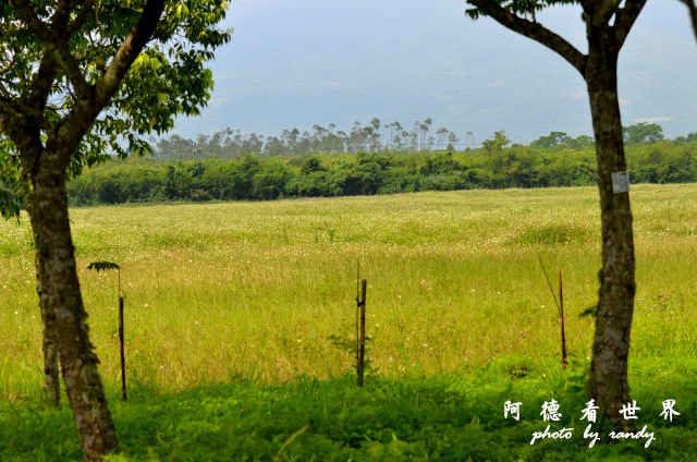 大農大富D7000 001-1 (29).JPG 大農大富D7000 001-1 (29).JPG