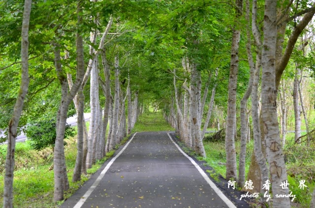 大農大富D7000 078.JPG 大農大富D7000 078.JPG