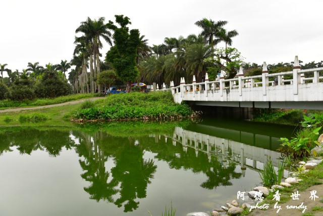 雲山水D810 017.JPG 雲山水D810 017.JPG