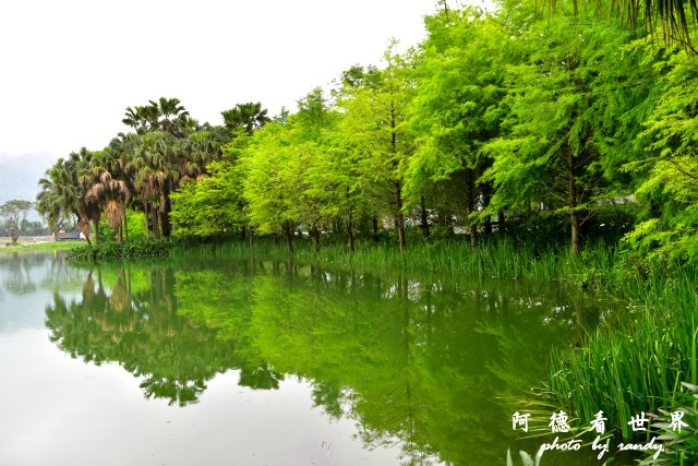 雲山水D810 031.JPG 雲山水D810 031.JPG