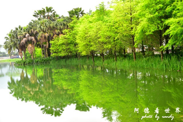 雲山水D810 032.JPG 雲山水D810 032.JPG