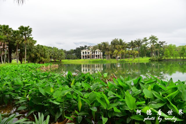 雲山水D810 041.JPG 雲山水D810 041.JPG