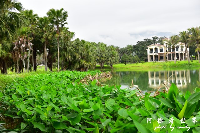 雲山水D810 043.JPG 雲山水D810 043.JPG