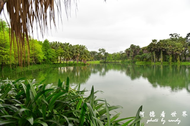 雲山水D810 074.JPG 雲山水D810 074.JPG