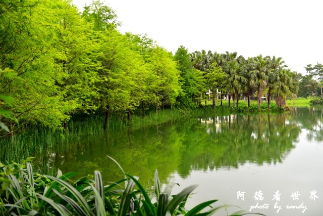 雲山水D810 079.JPG 雲山水D810 079.JPG