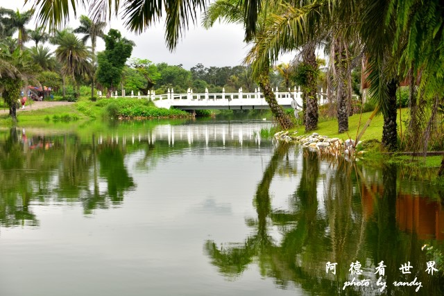雲山水D810 089.JPG 雲山水D810 089.JPG