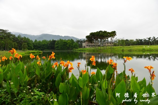 雲山水D810 095.JPG 雲山水D810 095.JPG