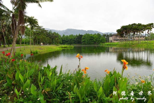 雲山水D810 100.JPG 雲山水D810 100.JPG