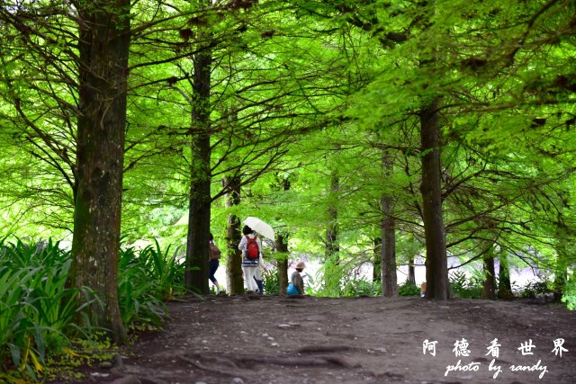 雲山水D810 109.JPG 雲山水D810 109.JPG