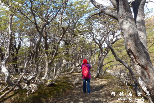 ushuaia6FZ (232).JPG ushuaia6FZ (232).JPG