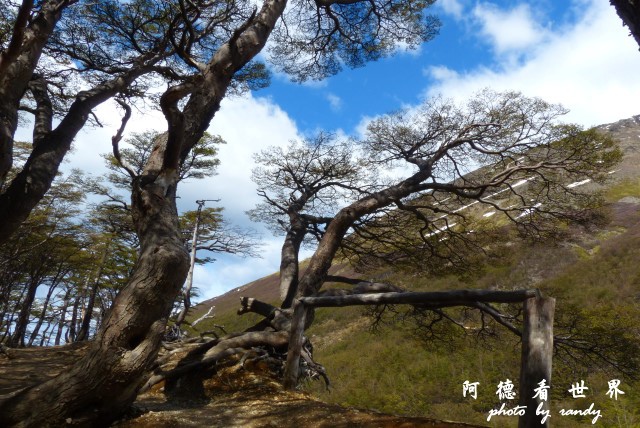 ushuaia6FZ (237).JPG ushuaia6FZ (237).JPG