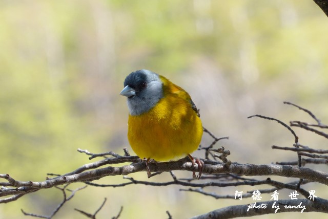 ushuaia6FZ (244).JPG ushuaia6FZ (244).JPG