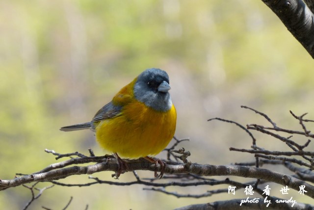 ushuaia6FZ (245).JPG ushuaia6FZ (245).JPG