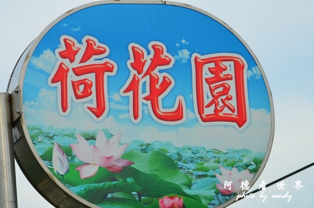 荷花園D7000 115.JPG 荷花園D7000 115.JPG