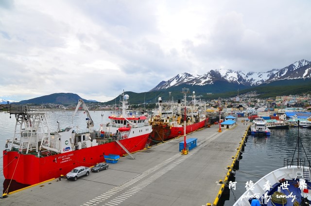 calafate2D7 006.JPG calafate2D7 006.JPG