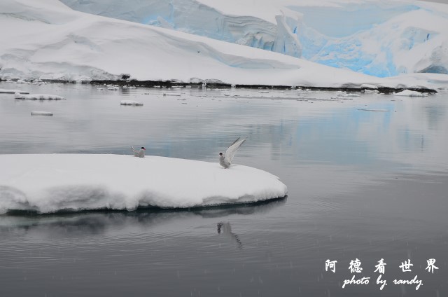 南極4D7 286.JPG 南極4D7 286.JPG