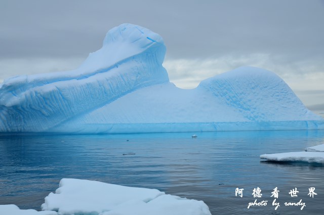 南極4D7 363.JPG 南極4D7 363.JPG