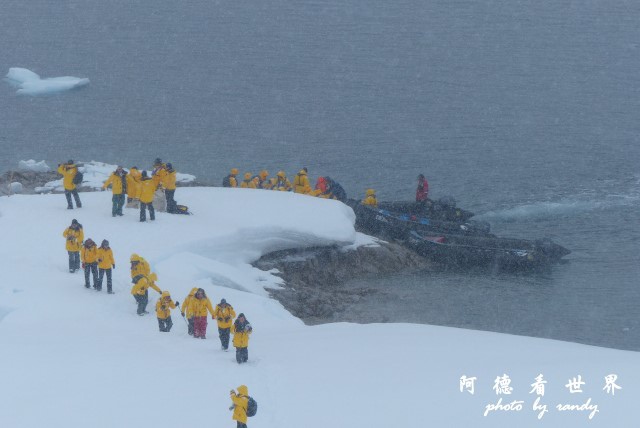 南極4FZ (90).JPG 南極4FZ (90).JPG