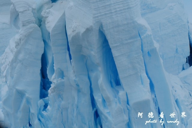 南極4FZ (364).JPG 南極4FZ (364).JPG