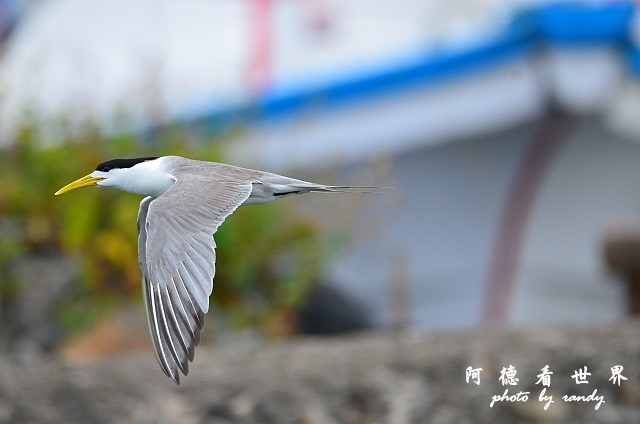 大溪漁港0626D7000 084.JPG