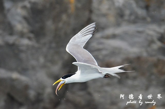 大溪漁港0626D7000 111.JPG