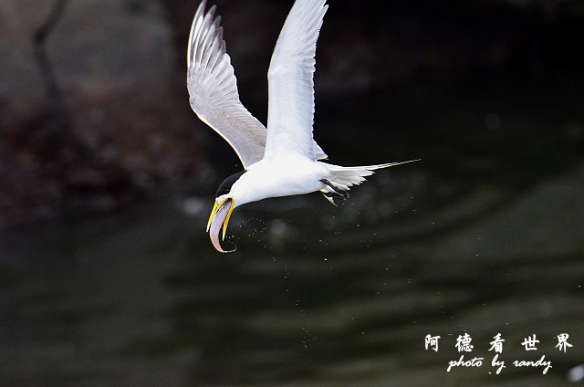 大溪漁港0626D7000 141.JPG 大溪漁港0626D7000 141.JPG