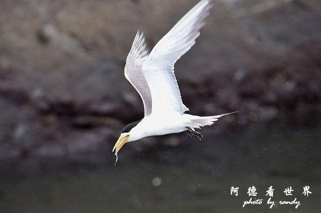 大溪漁港0626D7000 142.JPG 大溪漁港0626D7000 142.JPG