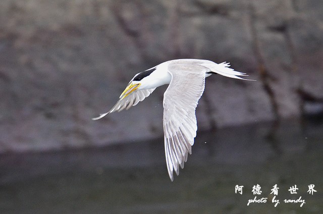 大溪漁港0626D7000 144.JPG 大溪漁港0626D7000 144.JPG