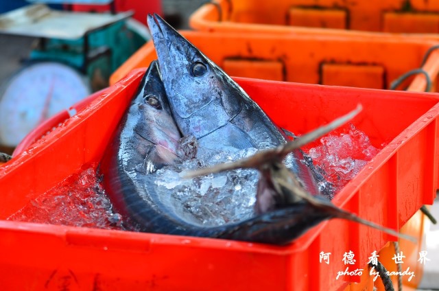 大溪漁港0630D7000 046.JPG 大溪漁港0630D7000 046.JPG