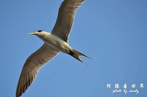 大溪漁港0630D7000 064.JPG