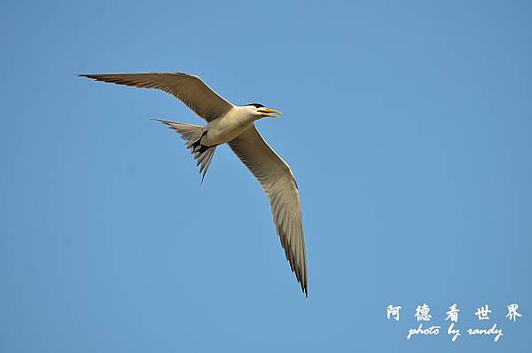 大溪漁港0630D7000 065.JPG