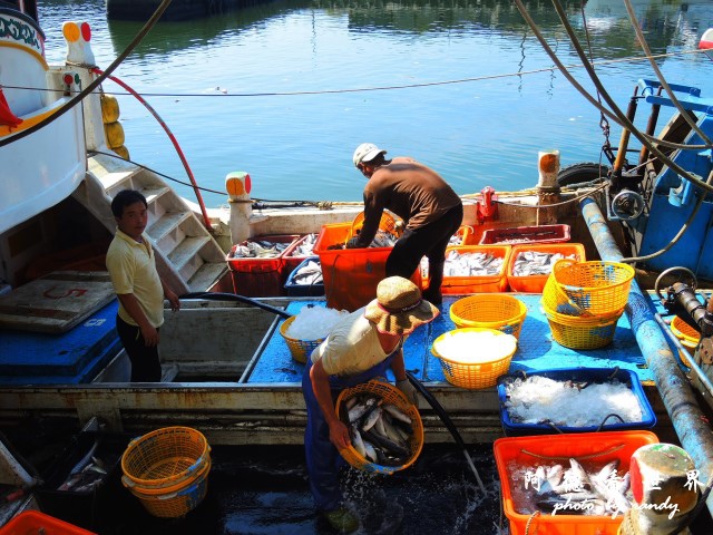 大溪漁港0630P7700 065.JPG 大溪漁港0630P7700 065.JPG