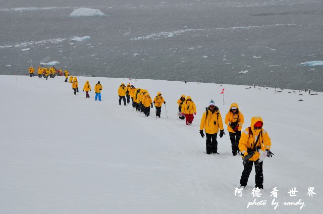 南極5D7 018.JPG 南極5D7 018.JPG