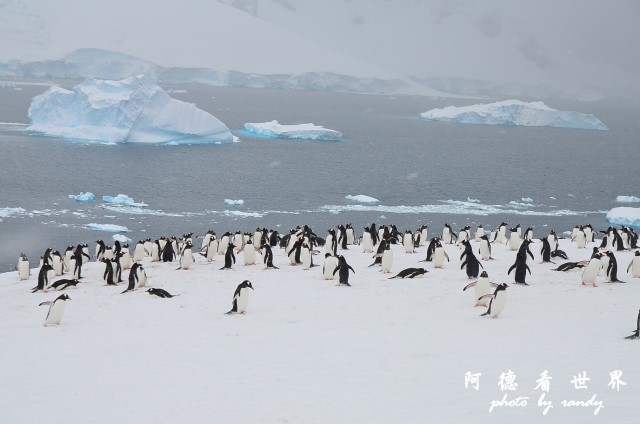 南極5D7 169.JPG 南極5D7 169.JPG