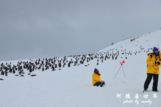 南極5D7 197.JPG 南極5D7 197.JPG