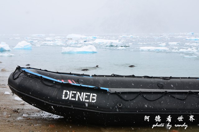南極5D7 246.JPG 南極5D7 246.JPG