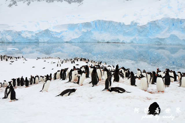 南極5D7 329.JPG 南極5D7 329.JPG