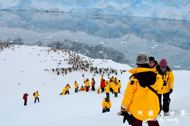 南極5D7 330.JPG 南極5D7 330.JPG