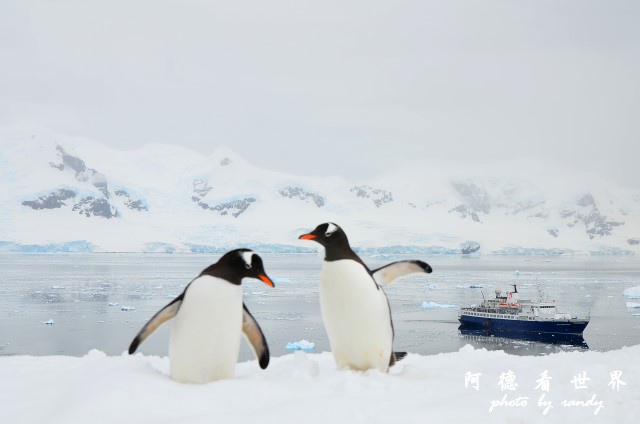 南極5D7 416.JPG 南極5D7 416.JPG