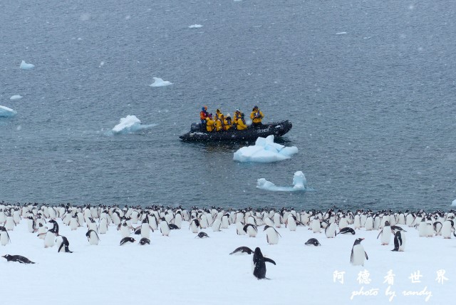 南極5FZ (157).JPG 南極5FZ (157).JPG