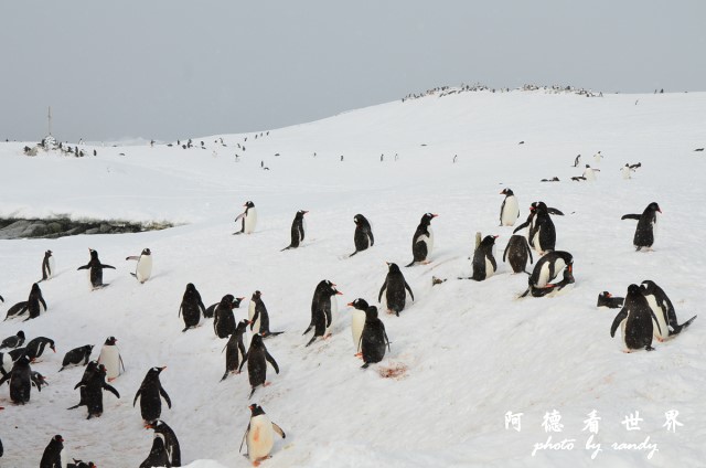 南極6D7 012.JPG 南極6D7 012.JPG
