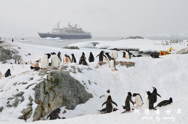 南極6D7 022.JPG 南極6D7 022.JPG