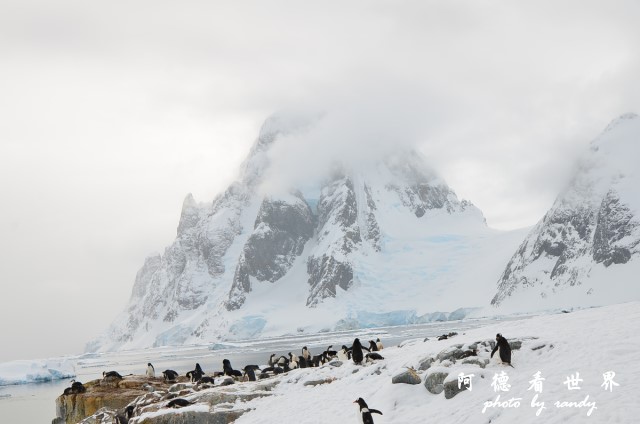 南極6D7 054.JPG 南極6D7 054.JPG