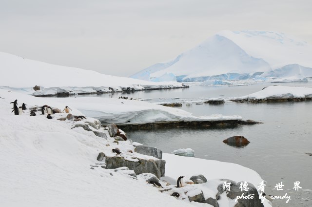 南極6D7 056.JPG 南極6D7 056.JPG